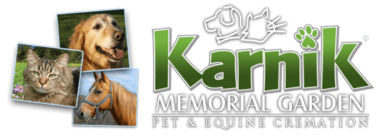 29 Top Photos Adopt A Pet Toledo Ohio / Dog Boarding Toledo, Ohio Ann Arbor, Michigan | Karnik